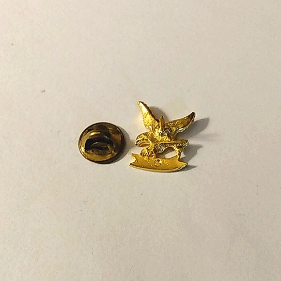 CFC Gold Eagle Lapel Pin Combined Federal Campaign Government Employees Charity - Picture 3 of 3